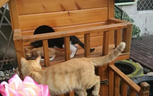 Luoyang Anximen Young Hostel