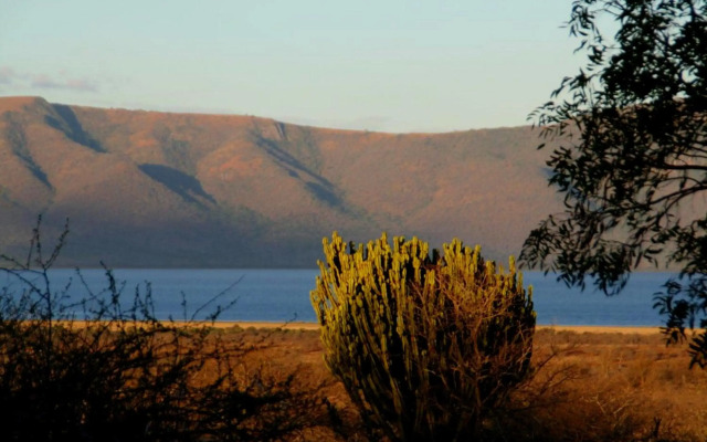 Africamps at White Elephant Safaris