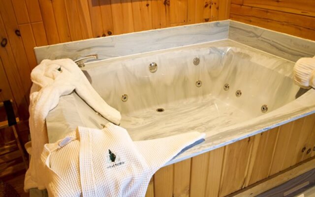 North Fork Mountain Inn