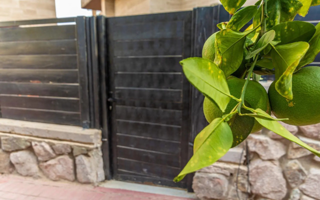 סטודיו 10 studio