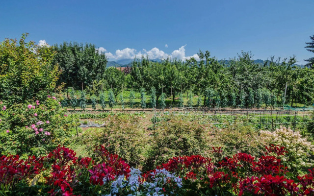 Agriturismo Chioi