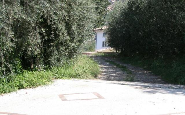 Bed and Breakfast Macchia d'Olmo