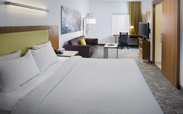 SpringHill Suites Savannah Downtown / Historic District