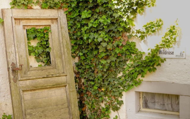 Nengshof - Haus Ehrenpreis