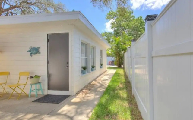 The Mermaid and the Sea Turtle