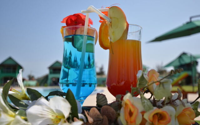 Flourish Wellness Resort