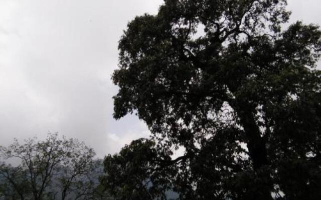 Janardan Homestay Nainital