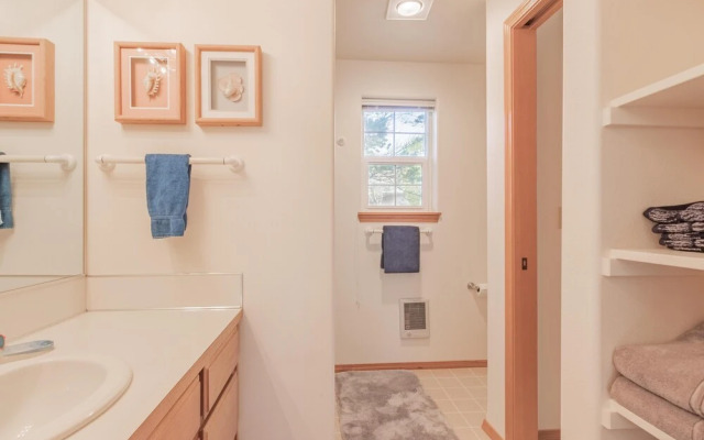 Avas Sunny Delight (MCA 682)