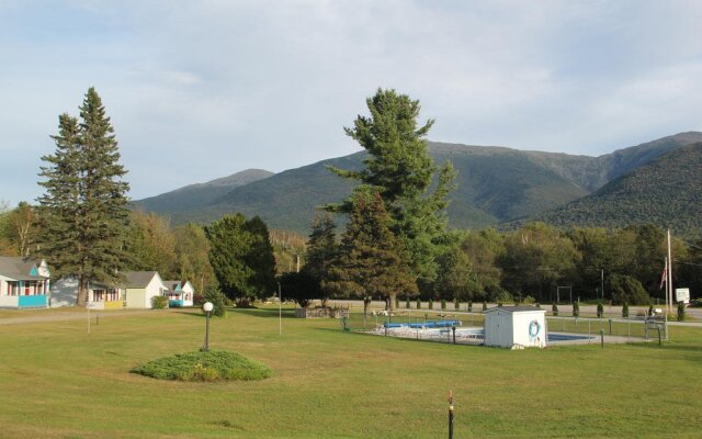 Mount Jefferson View