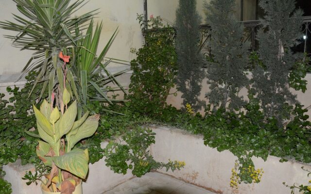 Jasmine leaves hotel apartment