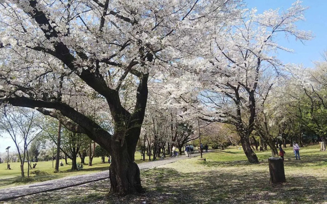 Toyoko Inn Wako-shi Ekimae