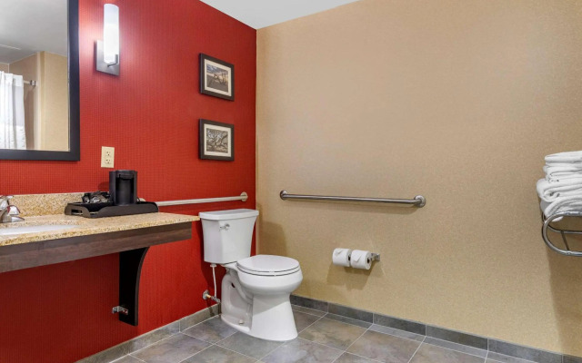 Comfort Suites Florence I-95