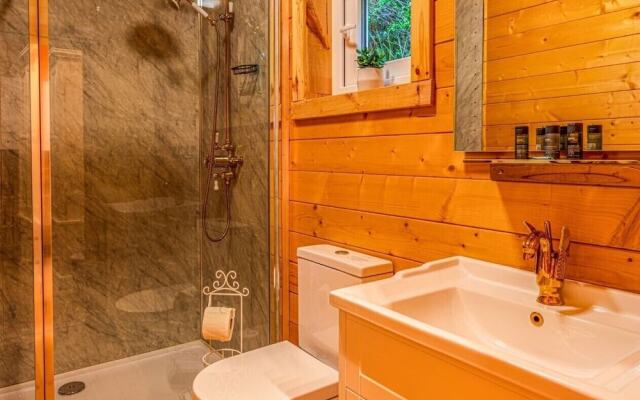 Swan Lodge With Hot Tub, Sauna and Treatments