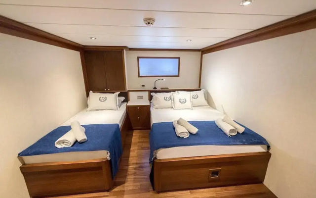 Ada Dreams / Boat