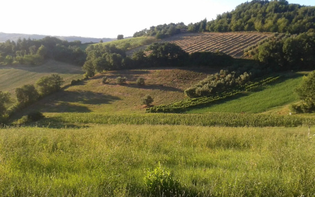 B&B La Collina Dorata