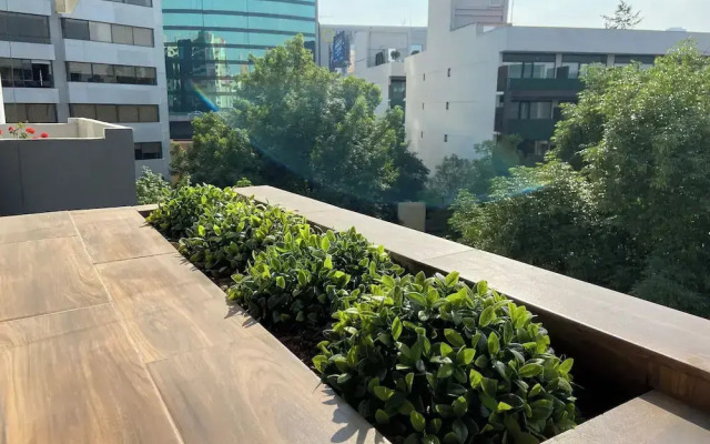 Chic Apts in Polanco Steps from Masaryk