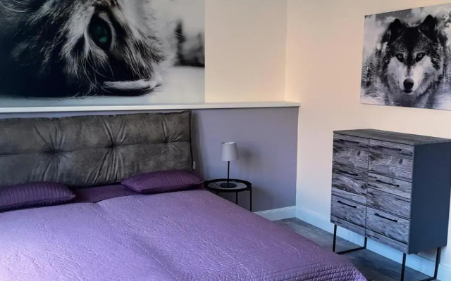 Flat Jindrichuv Hradec