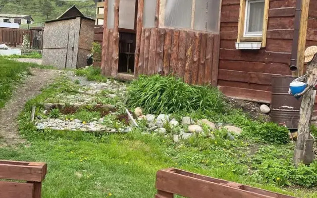 Chizhik on Dvornikov, 12 A