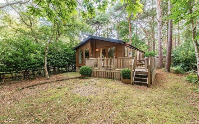 Pine Lodge - Kelling Heath Holiday Park - 20952