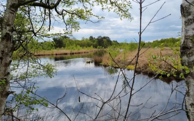 Ferienwohnung an der Mühle