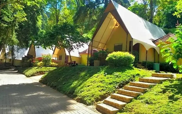 Lawu Forest Camp