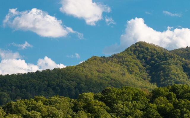 Best Western Smoky Mountain Inn