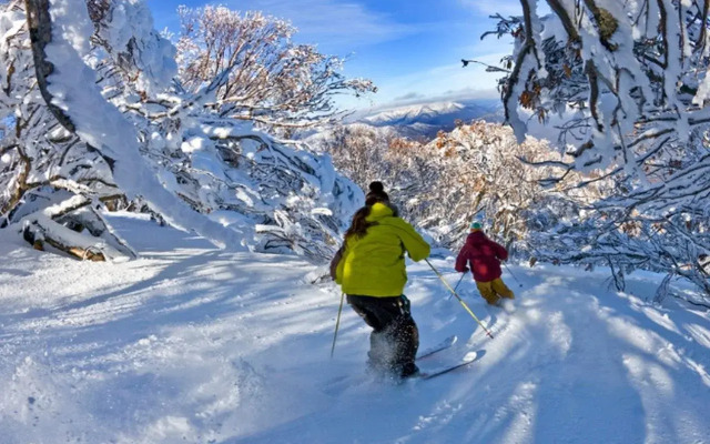 Sugarbush Lodge & Apartments