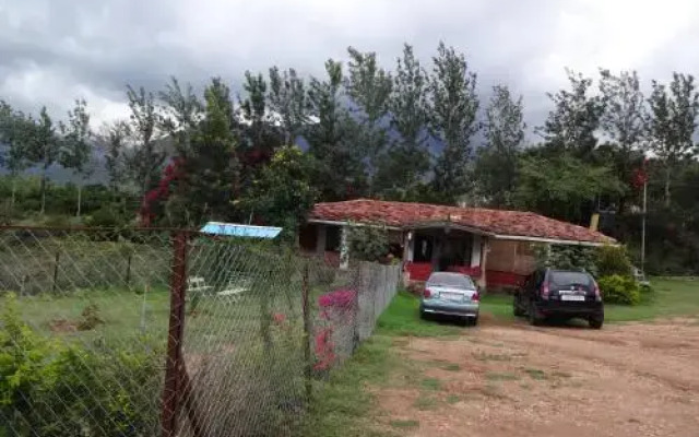 Wild Valley Nature Club