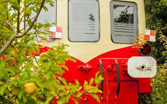 Les Gîtes du Picasso