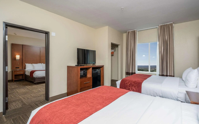 Comfort Suites University