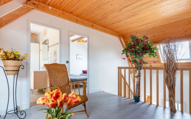 Les Mouettes (HSM401)