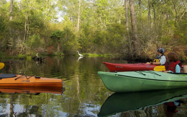 Holiday Inn Express Nags Head Oceanfront by IHG