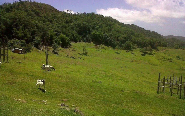 Milbrooks Resort