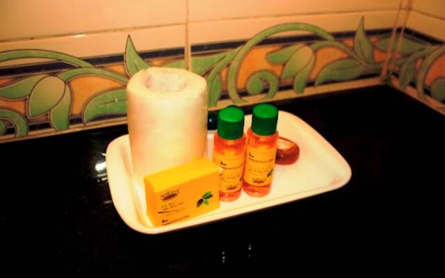 FabHotel Frenotel - Madhapur