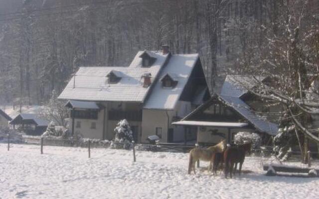 Apartmaji Gubanec