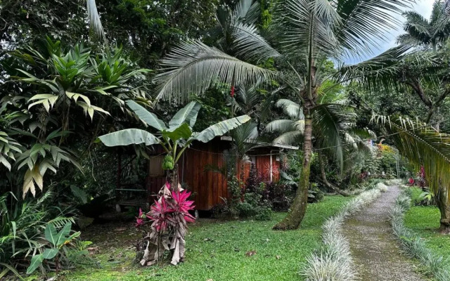 Casa Rio Blanco Eco Friendly B&B