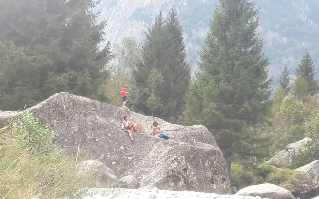 La Tana dell'Orso B & B