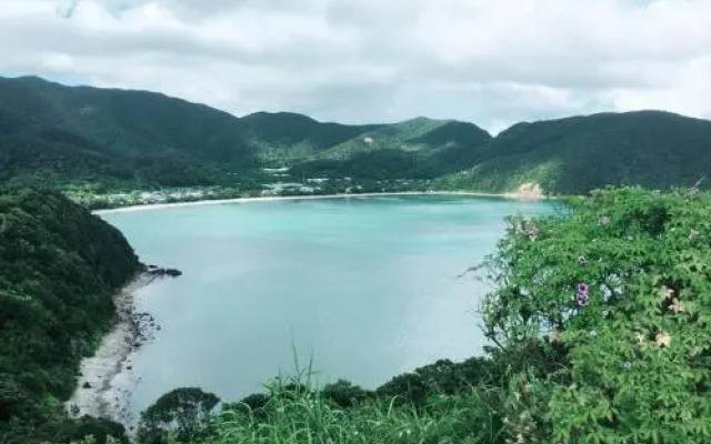 Sakai Guest House AMAMI（堺ゲストハウス奄美）