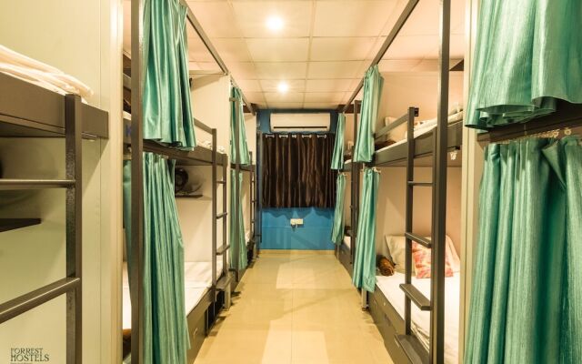 Forrest Hostels