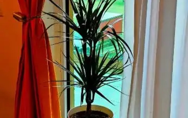 Apartament Spațios 2 camere -73mp