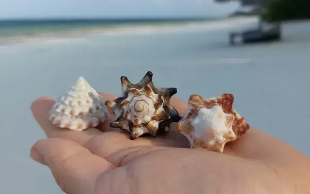 Stonefish Inn Jambiani