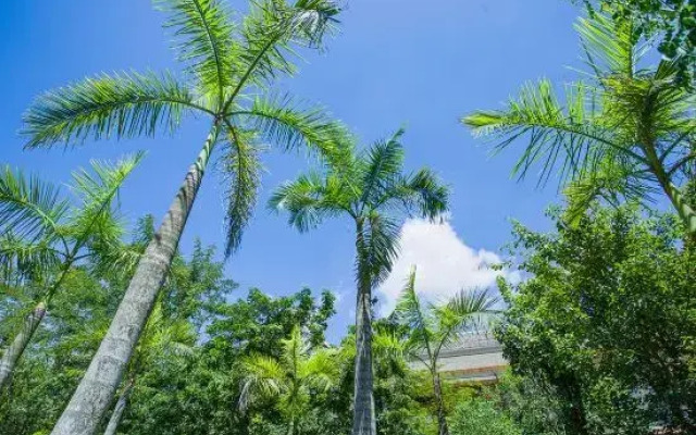 Xishuangbanna Flower Inn