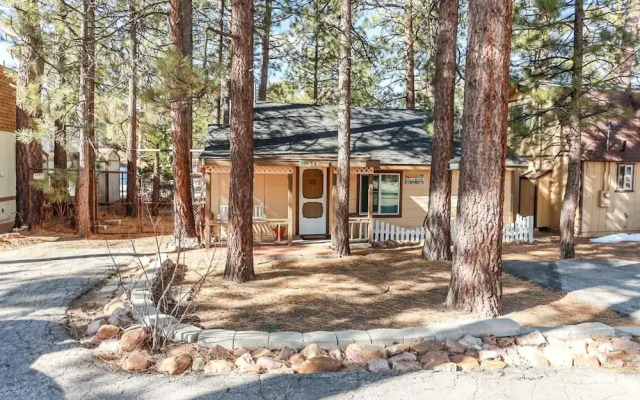Pines 23 1438 by RedAwning