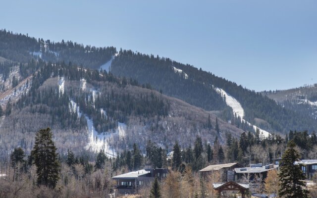 White Pines 1BD at Westgate