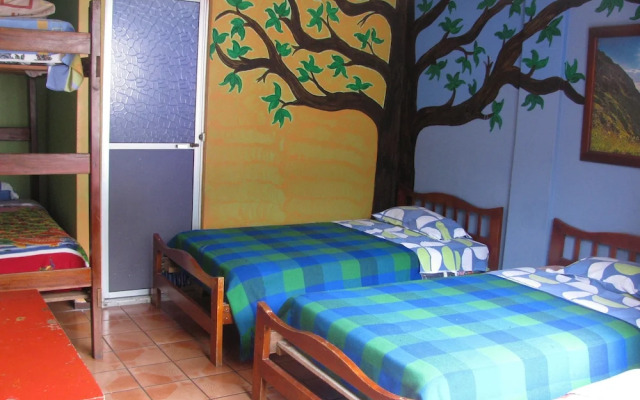 Hostal Transilvania