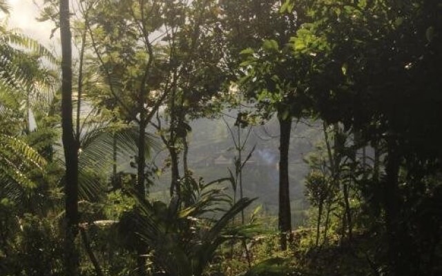 Verdant Vagamon Farm House