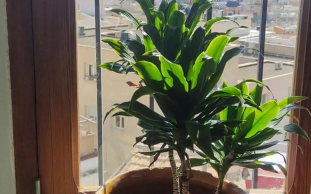 Charming house in the historic old town