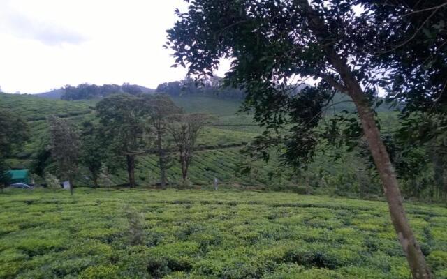 Shawn Dale Homestay