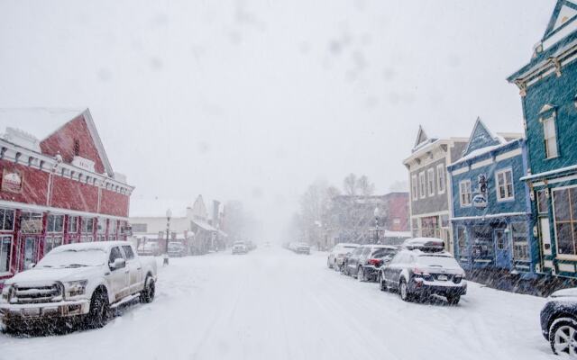 Cozy Pet-friendly King Studio In Mt. Crested Butte Condo - No Cleaning Fee! by RedAwning