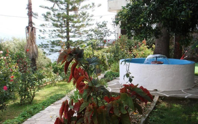 Pantazis Studios